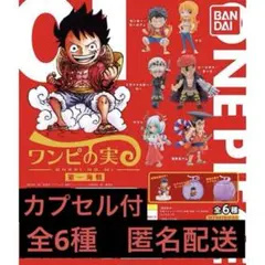 2025年最新】ワンピの実まとめ売りの人気アイテム - メルカリ