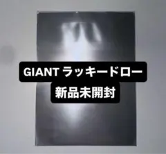 straykids GIANT タワレコ HMV ラキドロ トレカ 未開封 ×1