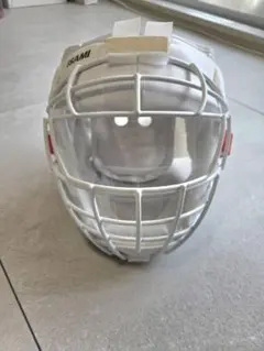 Item thumbnail for item 213c2b82-4891-447f-a891-e17dc1a8c905