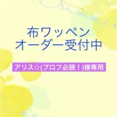 アリス☆(プロフ必読！)様専用　リピ様