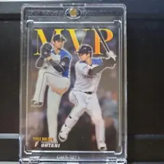 Item thumbnail for item 4dc79be1-d38d-4720-a293-e53765066ffa