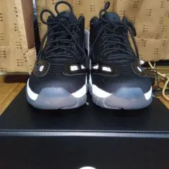 新品箱付き　エアジョーダン11レトロ　ローIE　US10.5（28.5ｃｍ）①