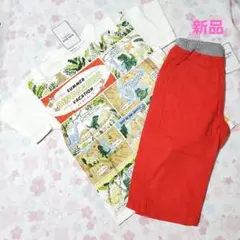 Item thumbnail for item bea5eca7-4ab9-4801-b88e-47a86043c5c9