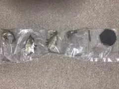 モンスターハンター　リオレイア希少種　フィギュア