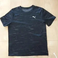 PUMA Tシャツ Sサイズ