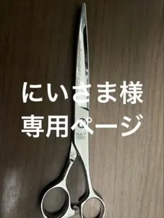 2026年最新】光 シザー レイコスモスの人気アイテム - メルカリ