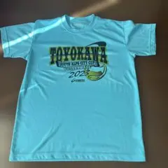 Item thumbnail for item 3a82a0e1-ba06-420d-b231-a0759edadc88