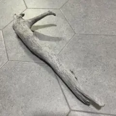 流木 アクアリウム 爬虫類 レイアウト素材 約29cm
