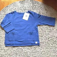 シロヤイチガントウキョウ