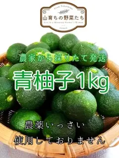 ゆず（青柚子）1kg＊収穫後発送＊農薬不使用＊徳島県18のサムネイル