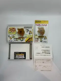 GBA ハムスターパラダイス あどばんちゅ 箱・説明書・ハガキ付 動作確認済