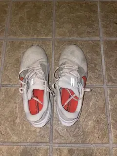 Item thumbnail for item cfbbcb8e-31bc-4c54-bce0-430814d7176b