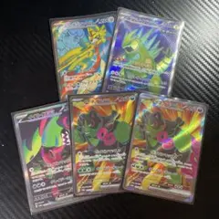 5枚セット