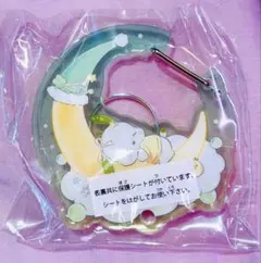 サンリオ　ポチャッコ　カラビナ　ガチャ　カプセル　マスコット　キーホルダー