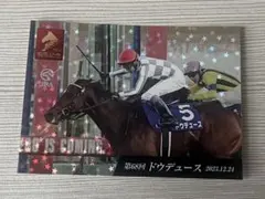 ドウデュース ステッカー　有馬記念　JRA中山競馬場 インスタ限定