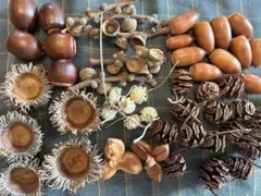 木の実セット　シダーローズ　ドングリ　メタセコイヤ　秋のリース　ハンドメイド