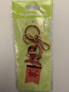 ディズニーランド　キーチェーン