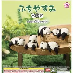 【新品】ふちやすみ パンダ フルコンプ　全5種セット