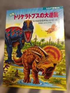 コリラ0403様 リクエスト 2点 まとめ商品
