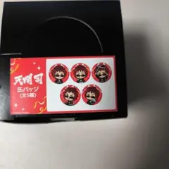 天開司 缶バッジ 5個セット