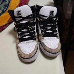 Item thumbnail for item 3af88856-4dba-4c2a-b1d3-b8e25b007431