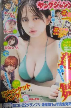 Item thumbnail for item babe9684-7d97-4056-a306-d4d4e8bbb6ae