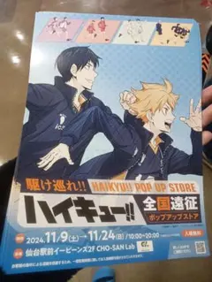 ハイキューフライヤー5点セット