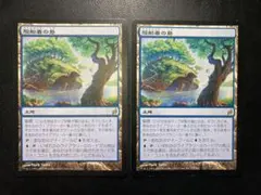 2025年最新】#【MTG】土地の人気アイテム - メルカリ