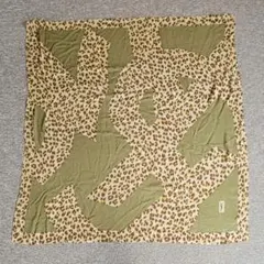 Item thumbnail for item 5998a5c8-a01b-47bd-b1cd-008c7113bfb4