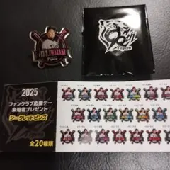 2025年阪神タイガースファンクラブシークレットピンバッチ　岩崎投手