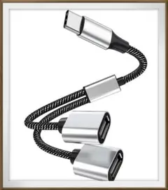 タイプ C ケーブル　 (タイプ C から 2 USB)　３本セット