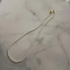 Item thumbnail for item 11a9406b-ec9c-4dda-95f0-2c315d34634b