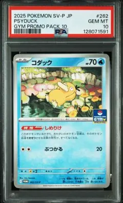【PSA10】コダック　しめりけ　262/SV-P ジムプロモ　Psyduck
