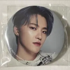 SEVENTEEN ディノ DFESTA 缶バッジ 1点