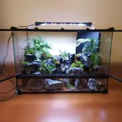 Item thumbnail for item 5a190eb3-41d6-4158-916f-f9caa267883e