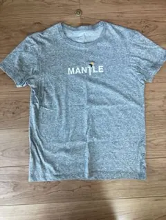 ザノースフェイス　Tシャツのサムネイル