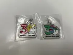 ポケモン30周年 メタルチャームマスコット めじるしアクセサリー