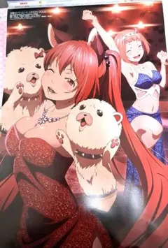 2026年最新】神撃のバハムート ポスターの人気アイテム - メルカリ