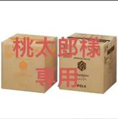 新品POLA シャワーブレイクフォームソープ10L ＋空容器3個 ハンド