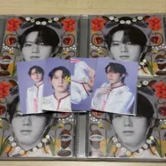 文藝解体新書 小泉光咲盤4枚 トレカ コンプセット