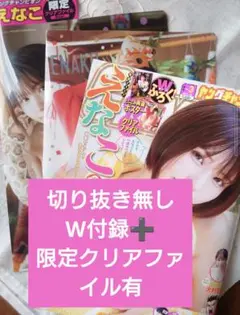 ヤングチャンピオン2025年3号W付録➕️限定クリアファイル有り