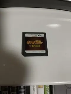 ポケモン 不思議のダンジョン 闇の探検隊 ニンテンドーDS