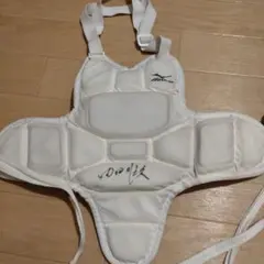 Item thumbnail for item 073b9b18-c177-4267-a870-89c743c2cdc8