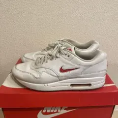 NIKE AIR MAX 1 PREMIUM SC エアマックス1 28.0