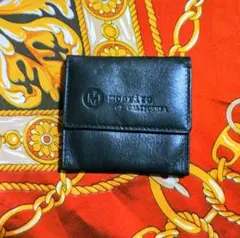 中古/モズライト/ピックケース‼️のサムネイル