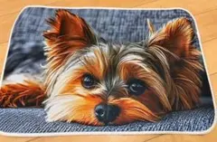 ヨークシャテリア 犬柄 キッチンマット 玄関マット 40×60cm