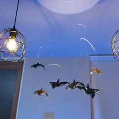 Item thumbnail for item 93568267-82a2-4a57-a0e9-6980ed24019e