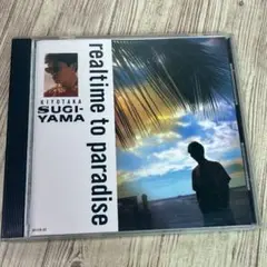 杉山清貴 realtime to paradise