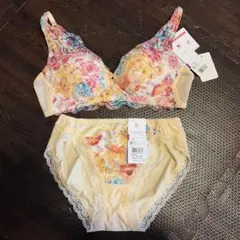 新品　ワコール　重力から守るブラ&ショーツセット　C70