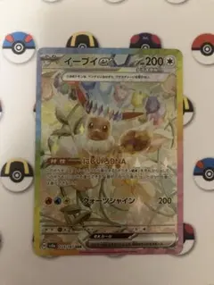 2025年最新】シリーズ：DP5 秘境の叫び/怒りの神殿 ポケモンカード